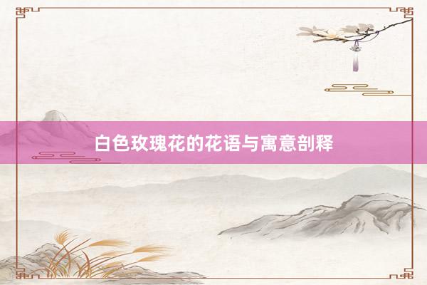 白色玫瑰花的花语与寓意剖释