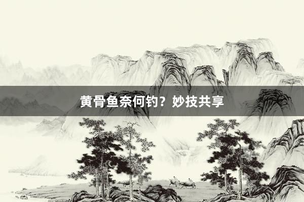黄骨鱼奈何钓？妙技共享